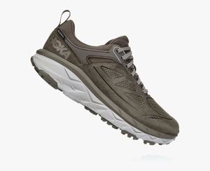 Hoka One One Women's Challenger Low GORE-TEX Wide Trail Shoes Brown Canada Sale [RQKFE-5472]